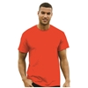 Imagen de GILDAN ULTRA COTTON HEAVY 100% ALGODON ADULTO 2000