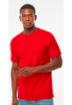 Imagen de M&O CUELLO REDONDO PESADO COMPLETO 100% ALGODON RING SPUN ADULTO 5500
