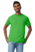 Imagen de GILDAN HEAVY COTTON 100% ALGODON ADULTO 5000