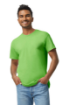 Imagen de GILDAN HEAVY COTTON 100% ALGODON ADULTO 5000