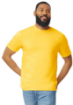Imagen de GILDAN SOFT STYLE CUELLO REDONDO 100% ALGODON ADULTO 64000
