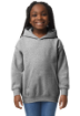 Imagen de GILDAN SUDADERA CON CAPUCHA 50/50 JUVENIL 18500B