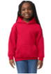 Imagen de GILDAN SUDADERA CON CAPUCHA 50/50 JUVENIL 18500B
