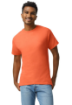 Imagen de GILDAN ULTRA COTTON HEAVY 100% ALGODON ADULTO 2000